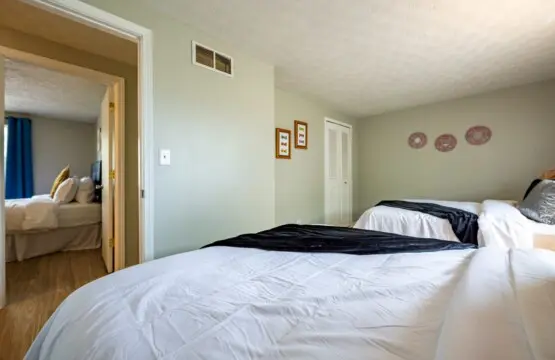 original 954577911522225794 1716315376.jpg