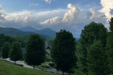 original 52167852 1451830266.jpg