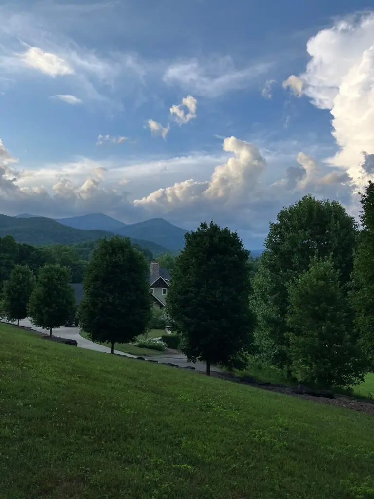 original 52167852 1451830266.jpg