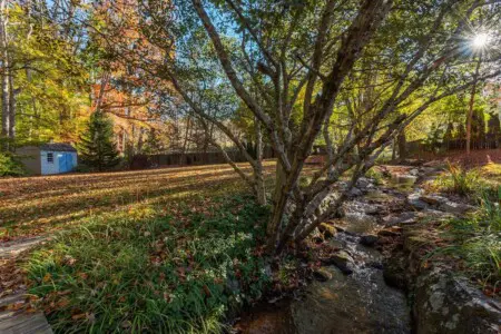 original 52167852 1538656469.jpg