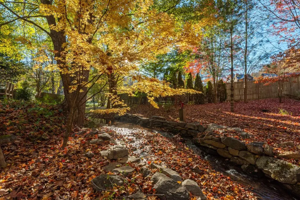 original 52167852 1538656664.jpg