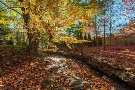 original 52167852 1538656664.jpg