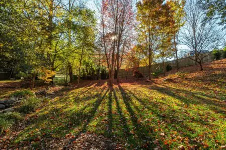 original 52167852 1538657254.jpg