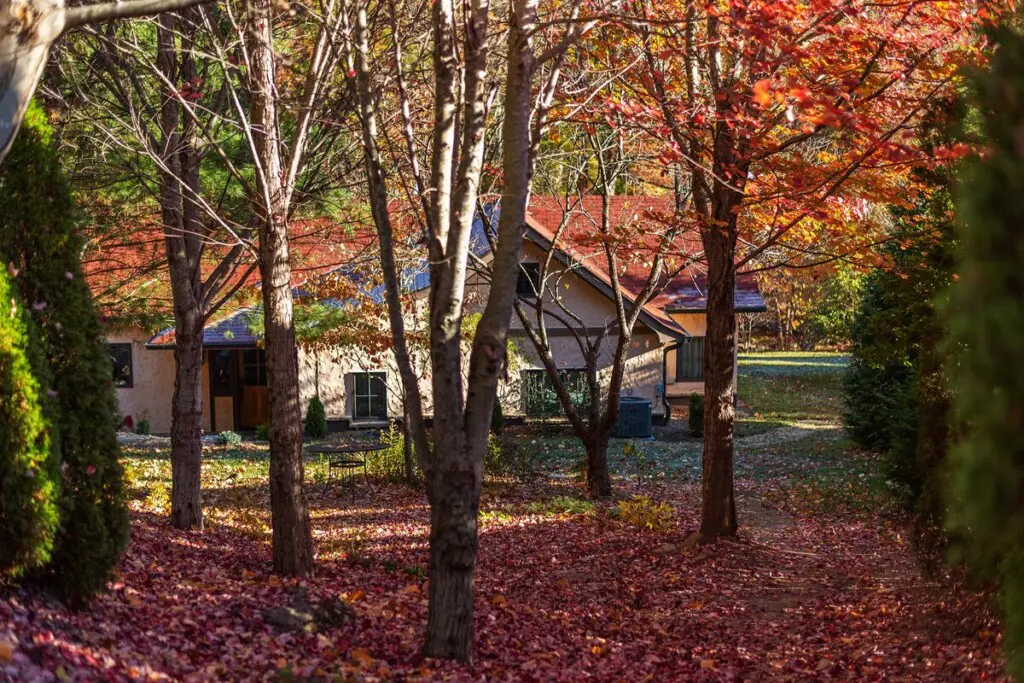 original 52167852 1538657451.jpg