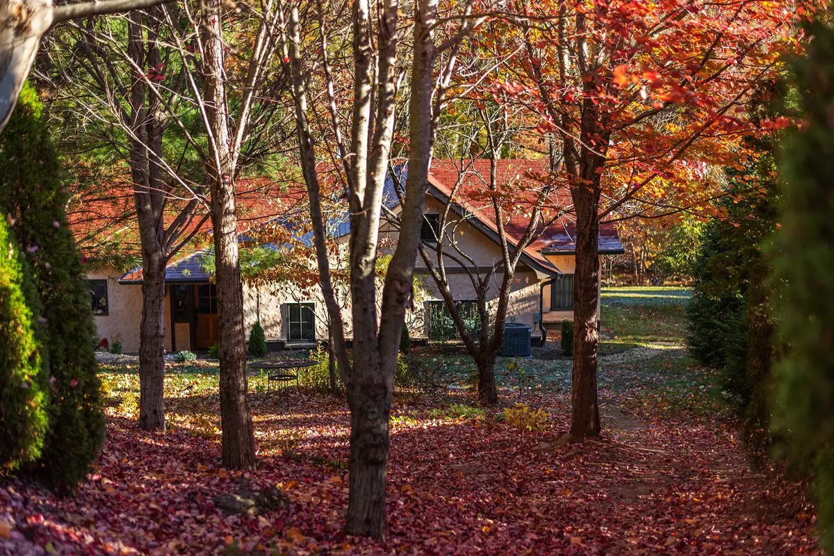 original 52167852 1538657451.jpg