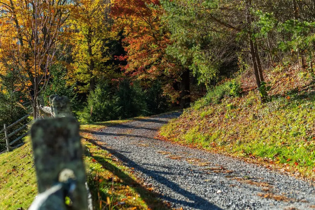 original 52167852 1538658411.jpg