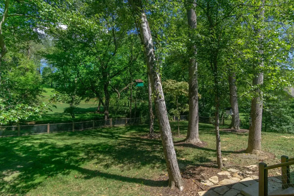 original 994288416844831489 1751989254.jpg