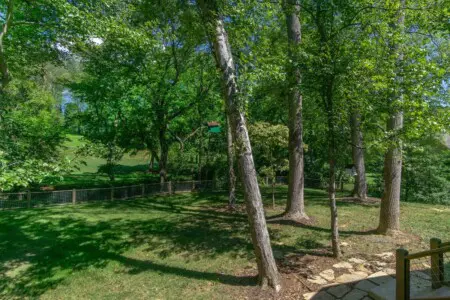 original 994288416844831489 1751989254.jpg