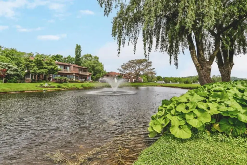 66eb17b9f9b5300013e89bcf 48463906 1811481633