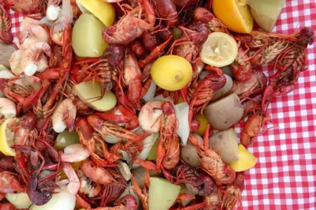 66eb17e2f9b5300013e89e31 49029185 1492263737