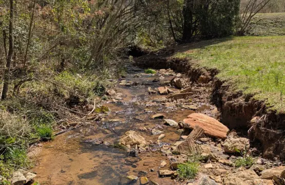 b6epsdphucs1ae9imgi0