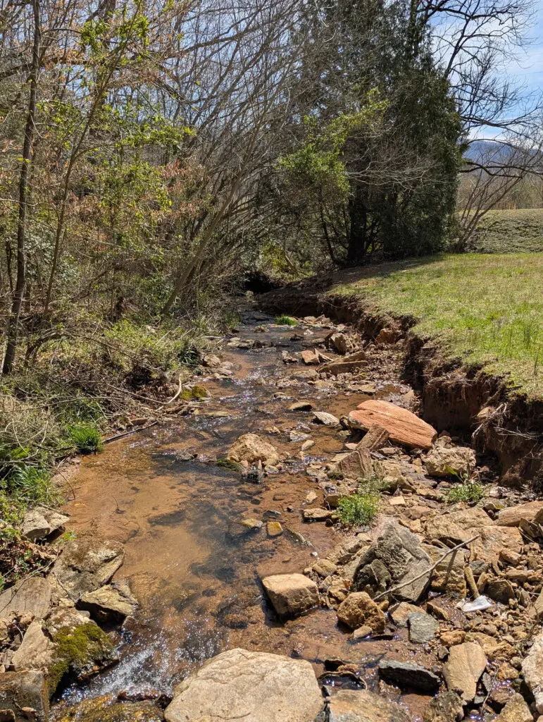 b6epsdphucs1ae9imgi0