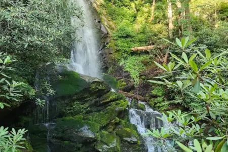 d43bssqefpbksumla87t