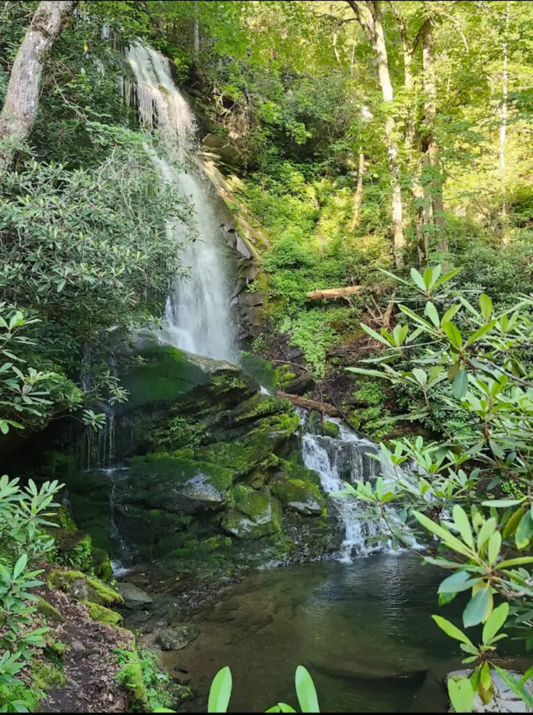 d43bssqefpbksumla87t