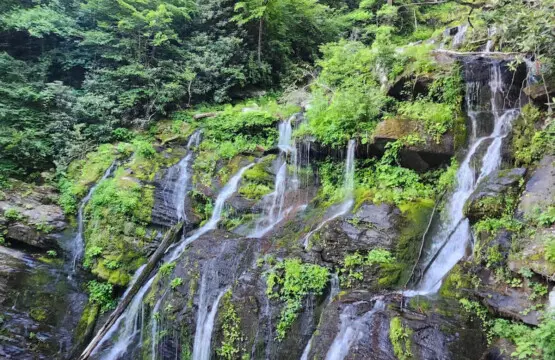 fq9ssrbcb0i2lstrgvxv