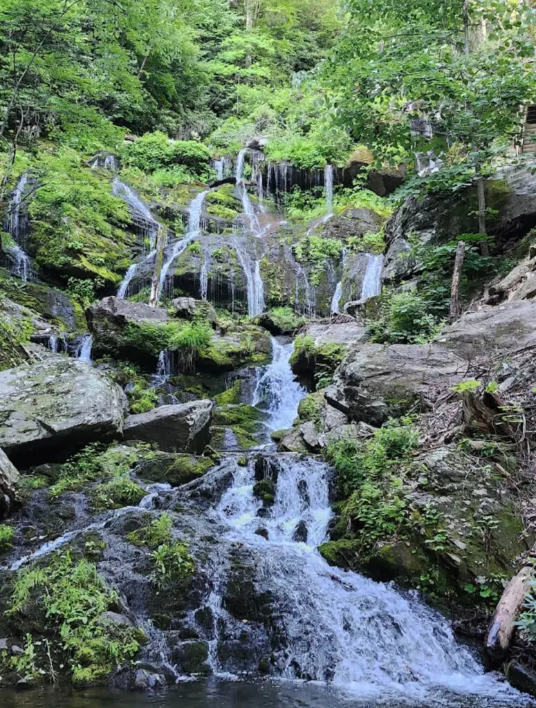 iek9zn61opn0zbn2ixz0