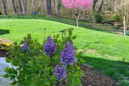 jixn5ubbui9pwk352b9s