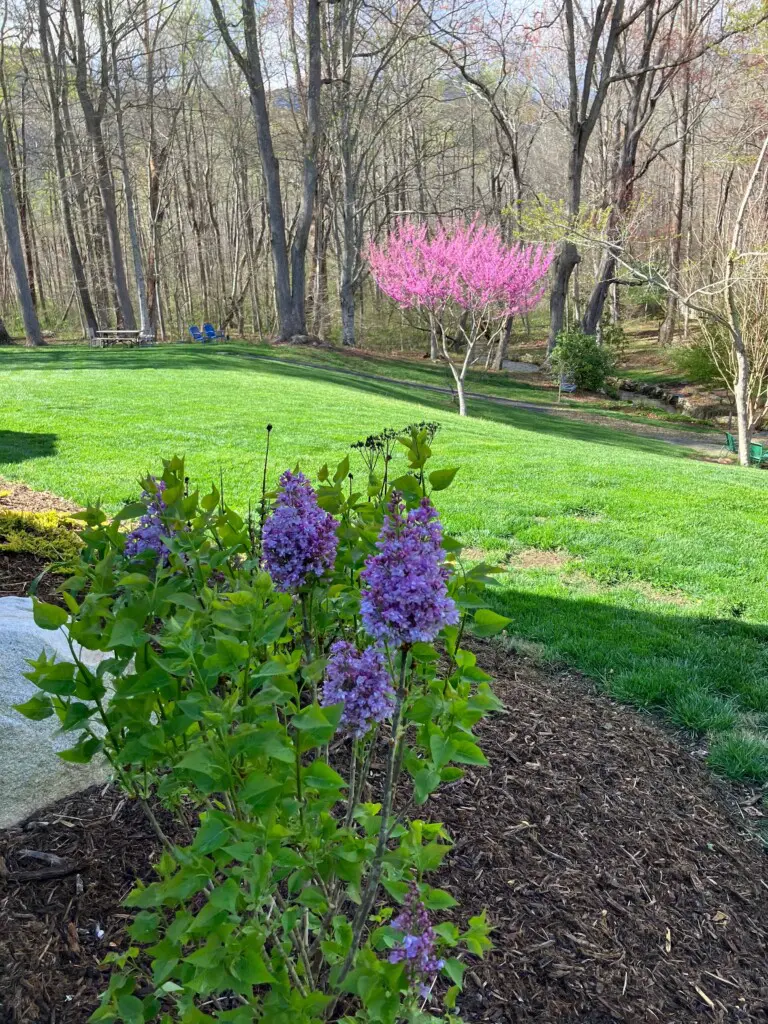 jixn5ubbui9pwk352b9s