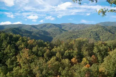 k2etrcejlzf9f9uptjwh