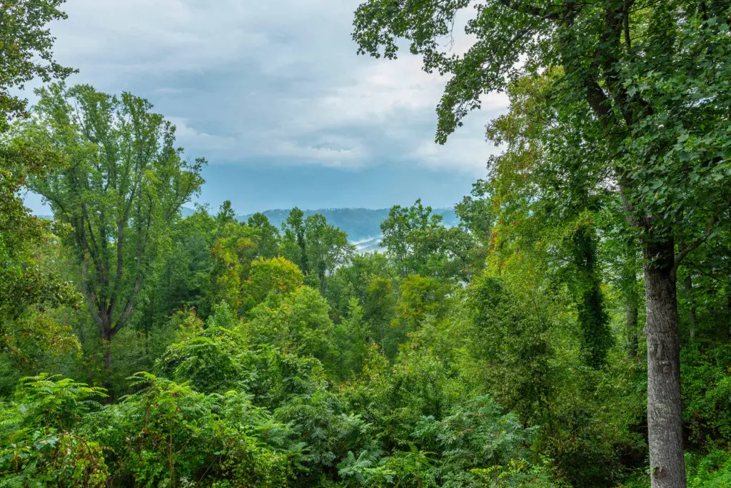 nxg3x15shqzr7x1cip0q