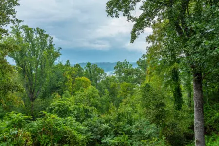 nxg3x15shqzr7x1cip0q