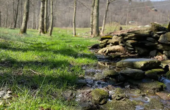 original 45253354 1062383645