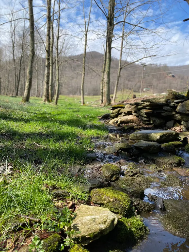 original 45253354 1062383645