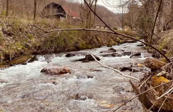 original 45253354 1062383679