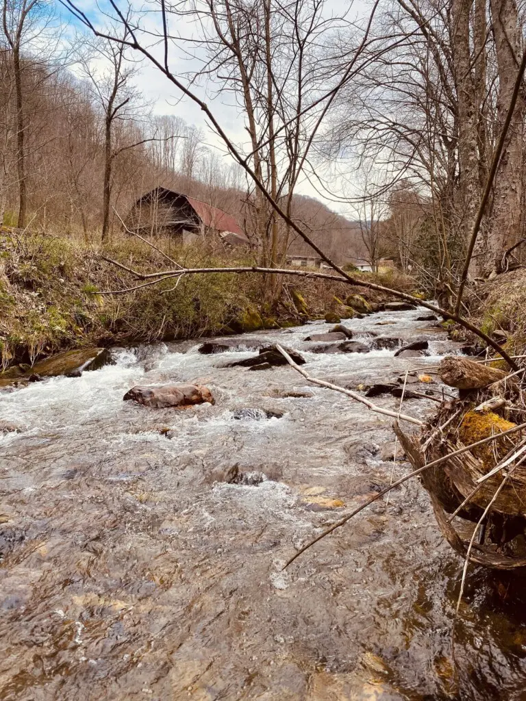 original 45253354 1062383679