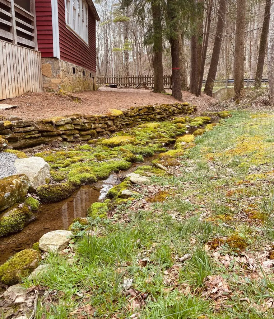 original 45253354 1062383706