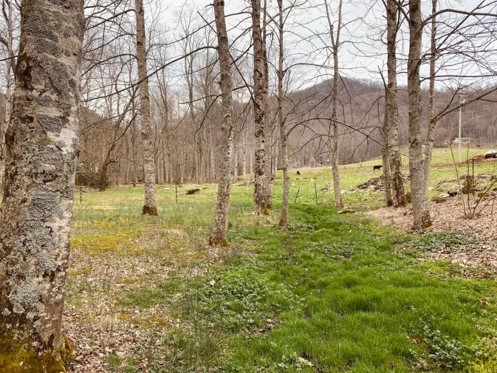 original 45253354 1062383728