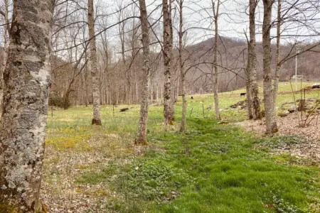 original 45253354 1062383728