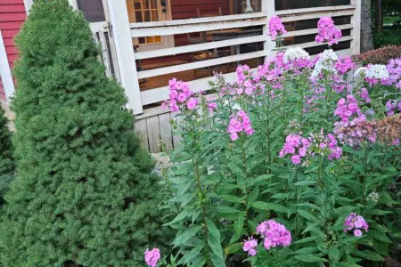 pxdinc4ak1riomvg4xam