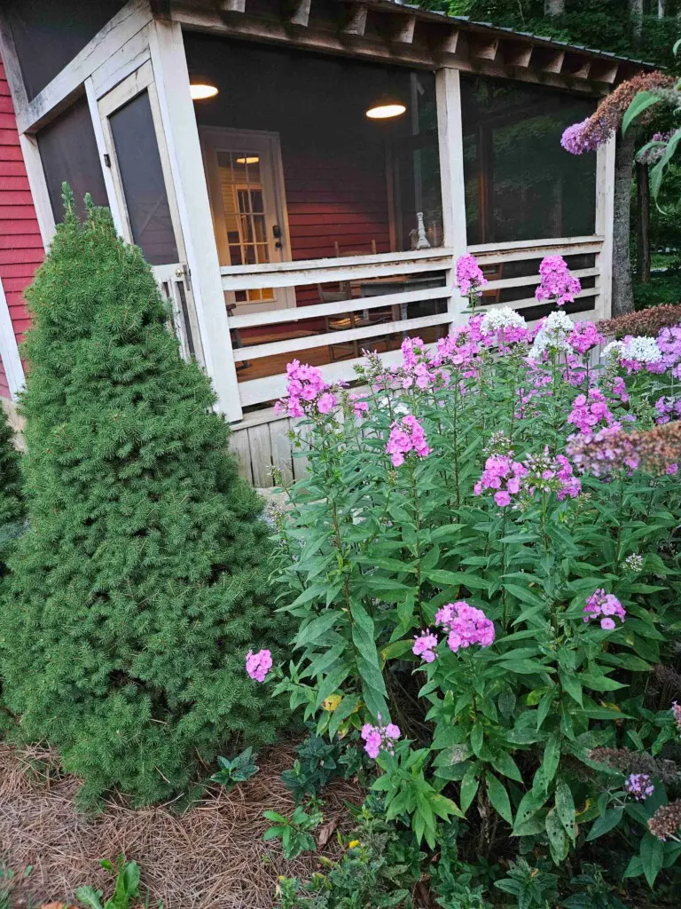 pxdinc4ak1riomvg4xam