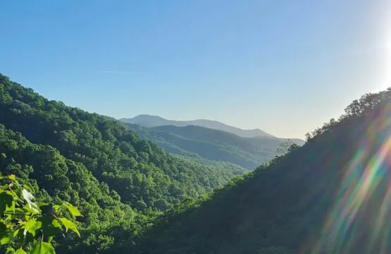 q6isndu7jbwkmcr9sbr7