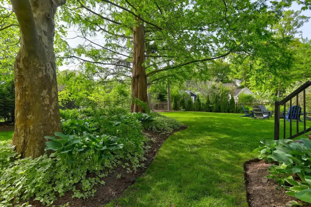 66eb1648f624e1001381cb5f 1136347491513632456 1911504084