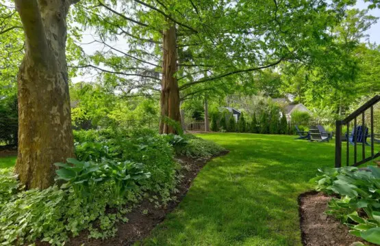 66eb1648f624e1001381cb5f 1136347491513632456 1911504084