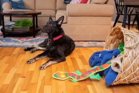 66eb17222f64370012842d4f 31688131 1460604037