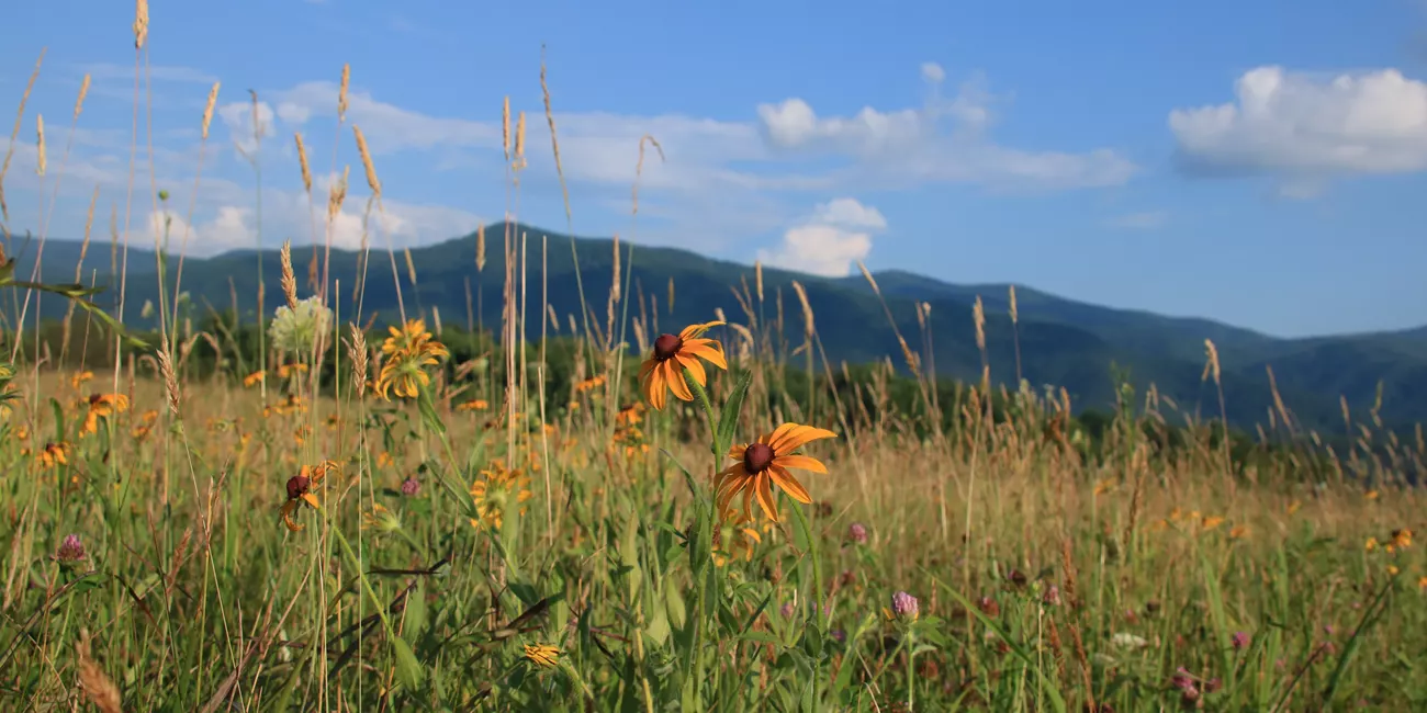 2 1CadesCove PublicDomainFlickr WBielenberg